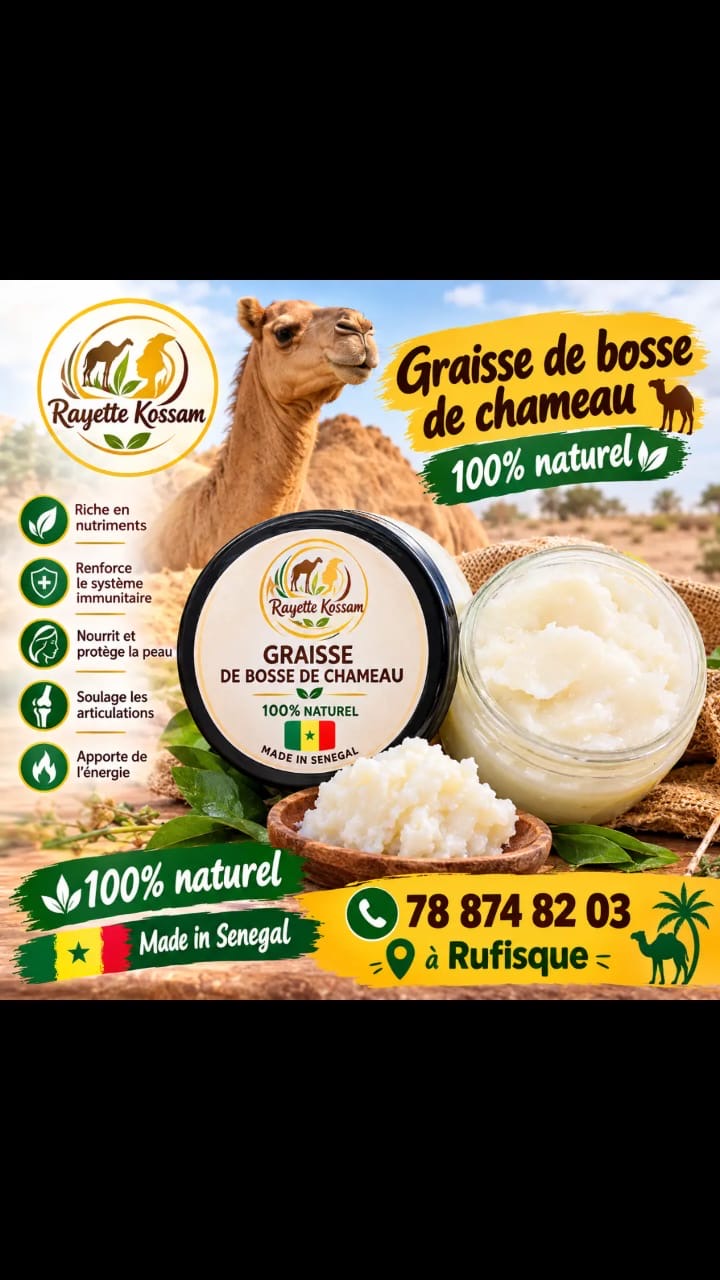 Bienfaits de la graisse de bosse de chameau