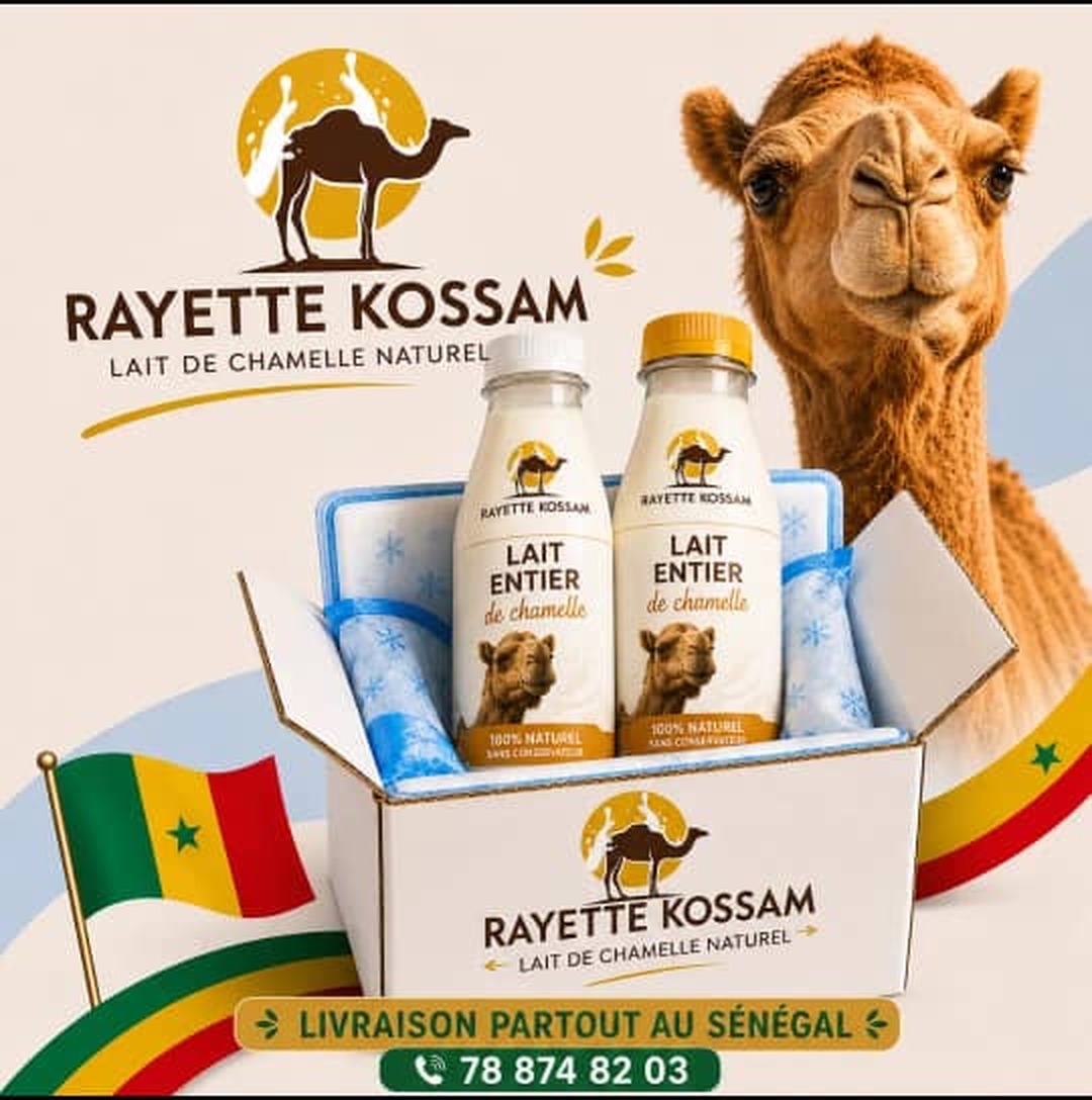 Lait de chamelle