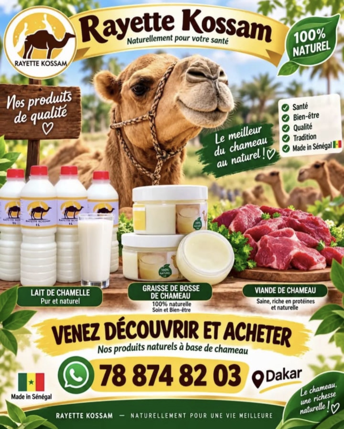 Affiche officielle Rayette Kossam : lait de chamelle, graisse de bosse et viande de chameau — naturellement pour votre santé. WhatsApp 78 874 82 03, Dakar